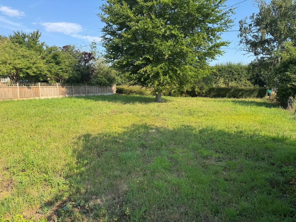 Lot: 103 - FREEHOLD SITE WITH FUTURE POTENTIAL - View of plot looking towards the road